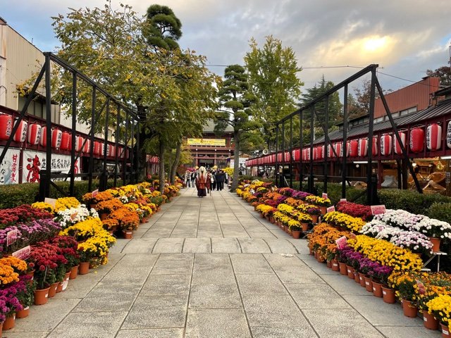 ⛩️ 히토코토누시 신사 (一言主神社) 이미지 8